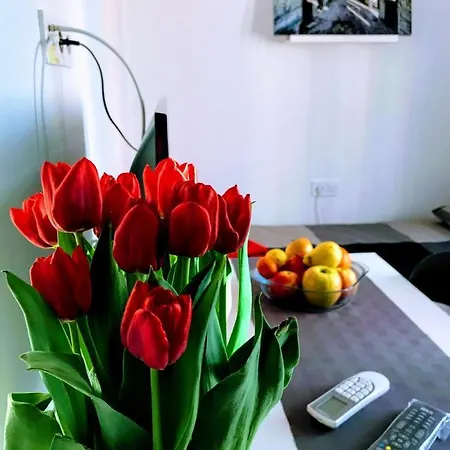 Hotel apartamentowy Center Old Town And Pula