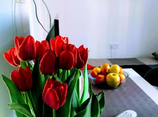 Apart-hotel Center Old Town And Pula